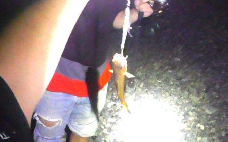 アオリイカまだまだ！ソウダガツオは好調